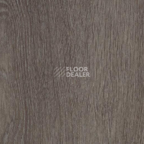 Кварцвиниловые полы Forbo Allura Click Pro 60375CL5 grey collage oak фото 1 | FLOORDEALER